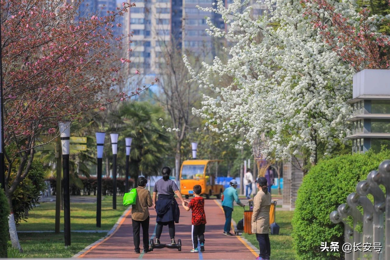 科技加持,城运公园大升级!你还不来打卡吗?