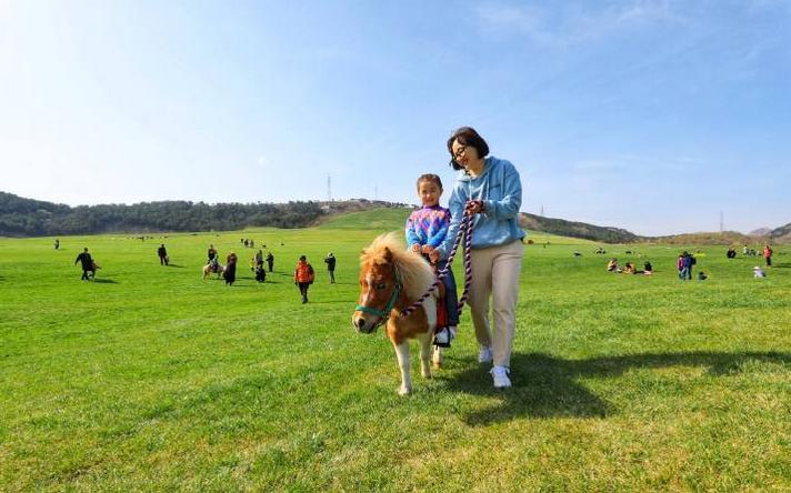 超长记录亲子牧场一日游,暑期草原亲子游攻略