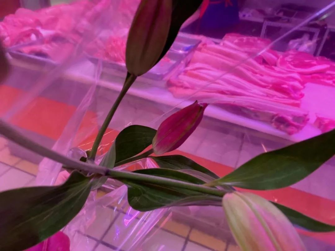 龚鹏程,龚鹏程海门