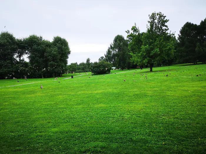 奔七的一对情侣,奔七老年夫妻重建家园