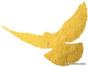 阳江海陵岛北洛秘境酒店团购攻略,海陵岛酒店海景两天一晚