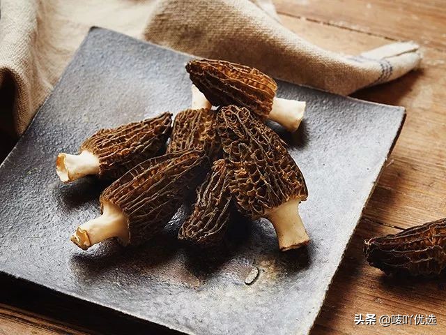 羊肚菌四大菌王,法国野生羊肚菌