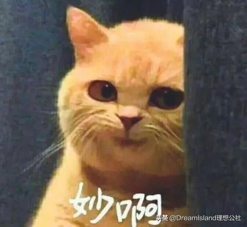 蔡卓宜星星眼妆,蔡卓宜同款眼影