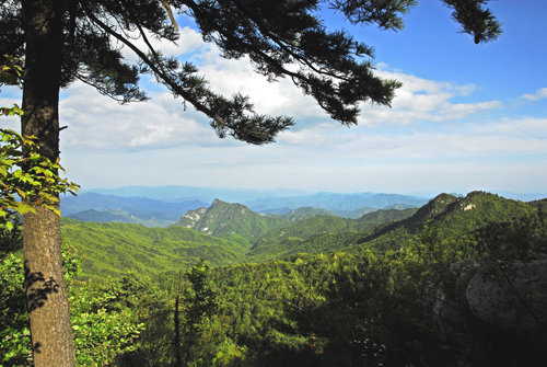 三门峡甘山国家森林公园最新消息,三门峡甘山国家森林公园马拉松