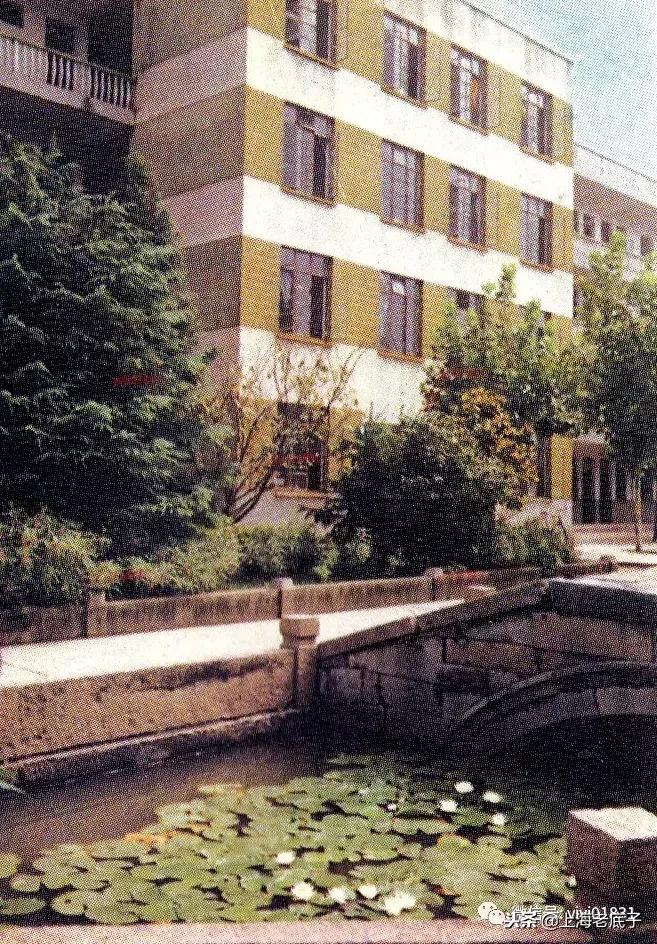 「南汇县篇」回望上世纪八九十年代的上海学校,有侬的母校伐?