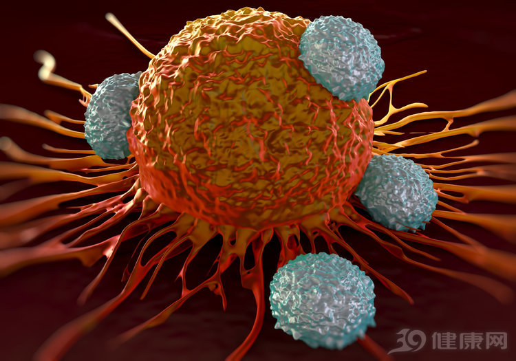 让癌细胞“永久休眠”？澳大利亚科学家研制出新药，远离复发