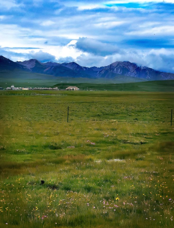 一条绝美草原之路,一条绝美的自驾公路