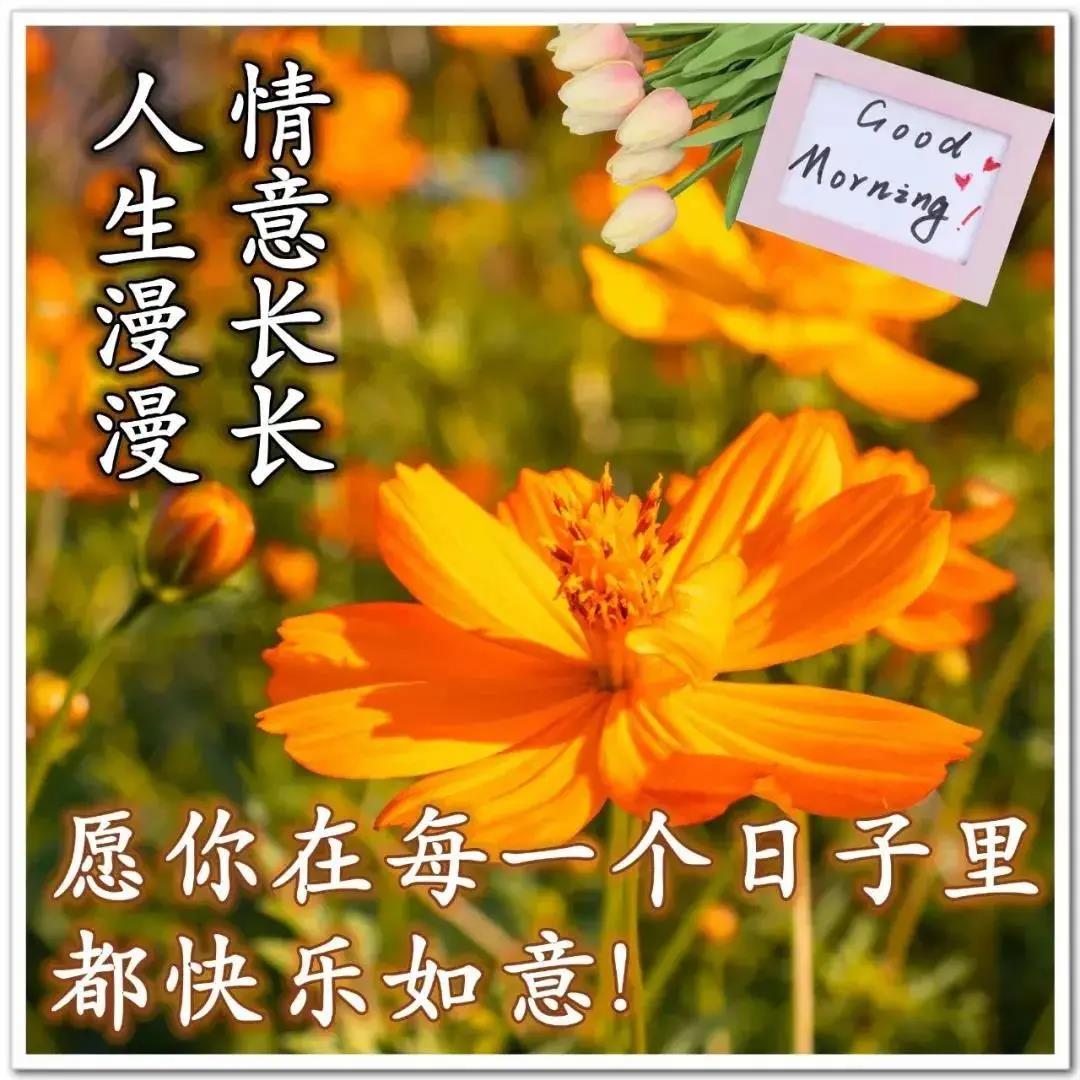 周一早上好祝福问候语最新版多图,周一早上好最新图片问候语