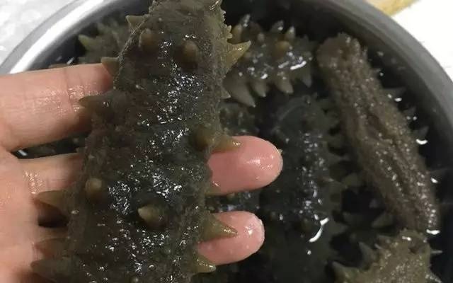 你买的哪种海参?我来帮您看一看