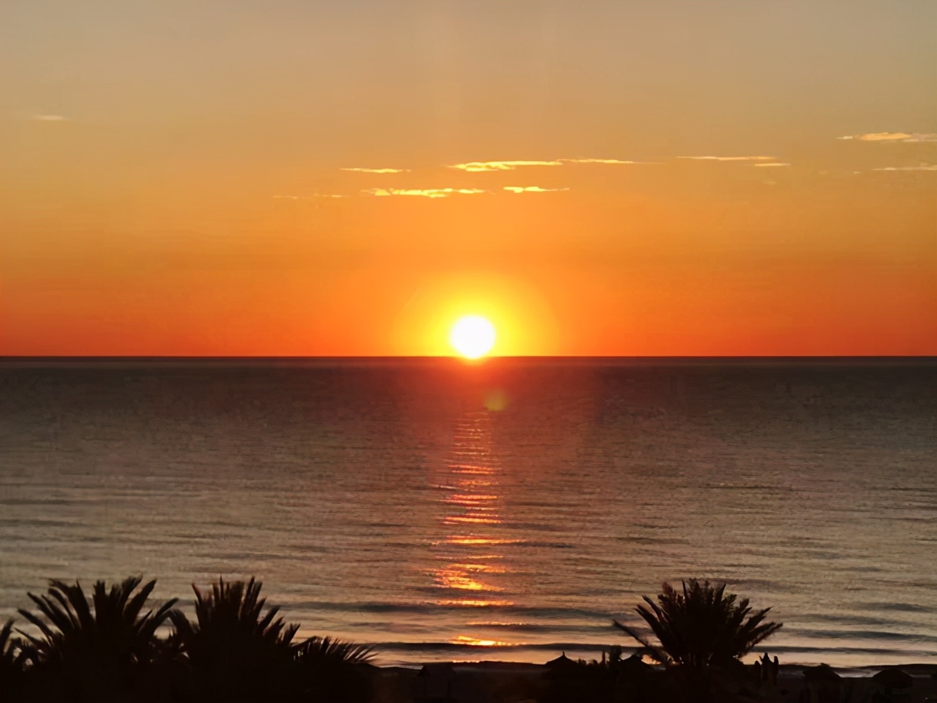 突尼斯｜一个微笑，一句“salam”，我为你动容（1）