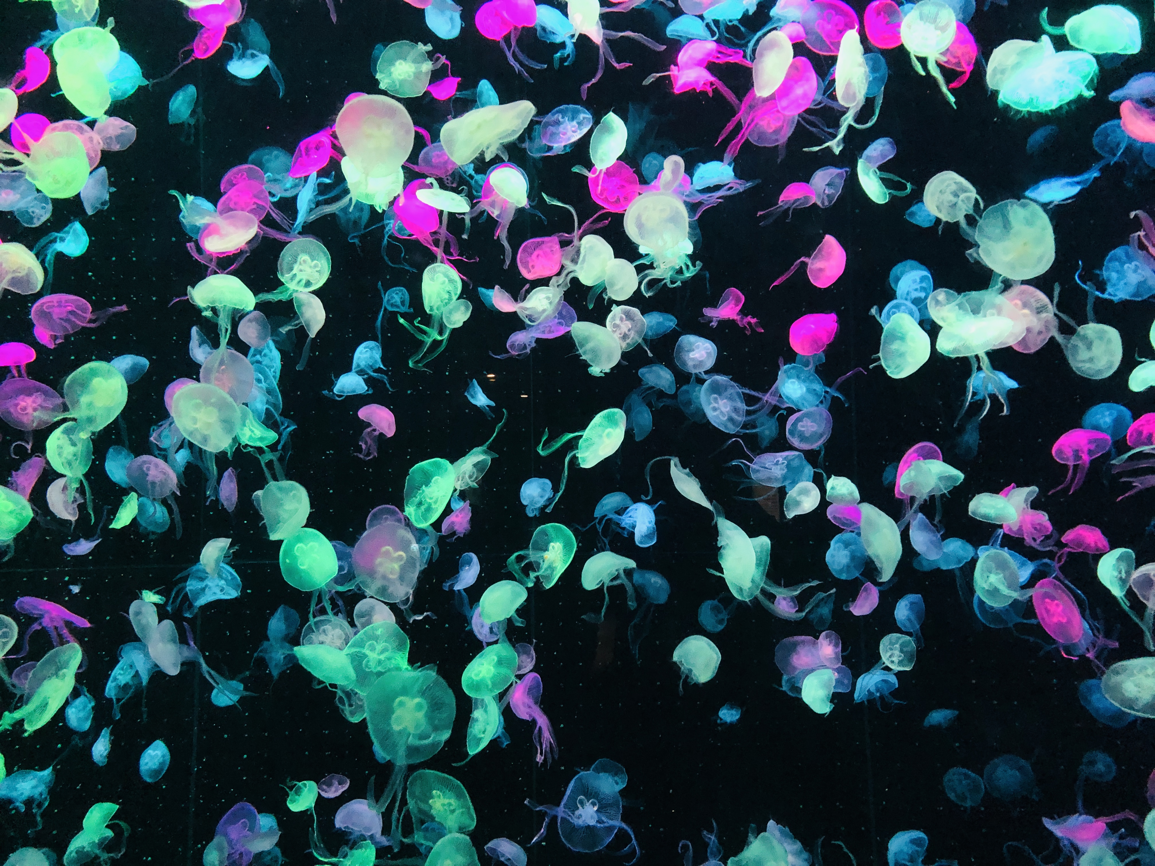 寒假带孩子去长隆玩什么,长隆寒假旅游攻略