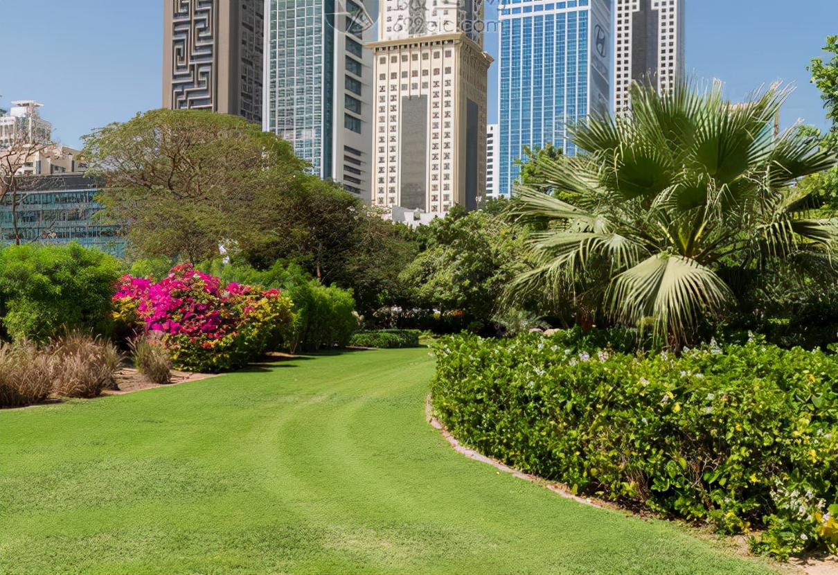 300万人民币在迪拜买套房子,3万就能买房的城市