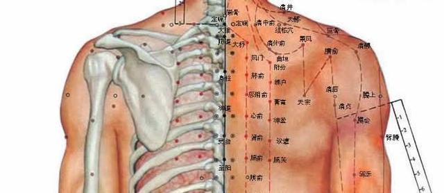 肩颈酸痛怎么缓解按摩治疗肩颈痛,肩颈酸痛的原因及解决方法