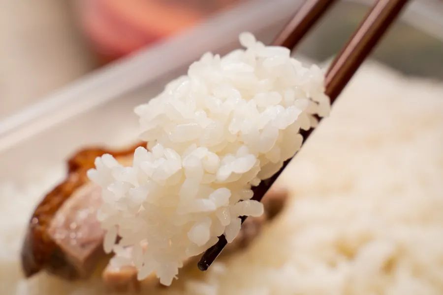 魔都粉鸭哪家好吃,烧鸭油鸡饭哪个好吃