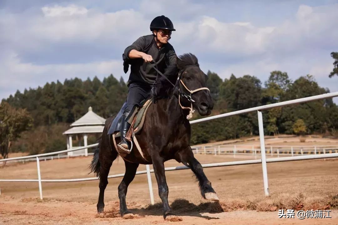 石象湖游览图片大全,石象湖自然风景