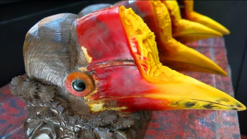 头骨最值钱鸟,头骨很珍贵的鸟