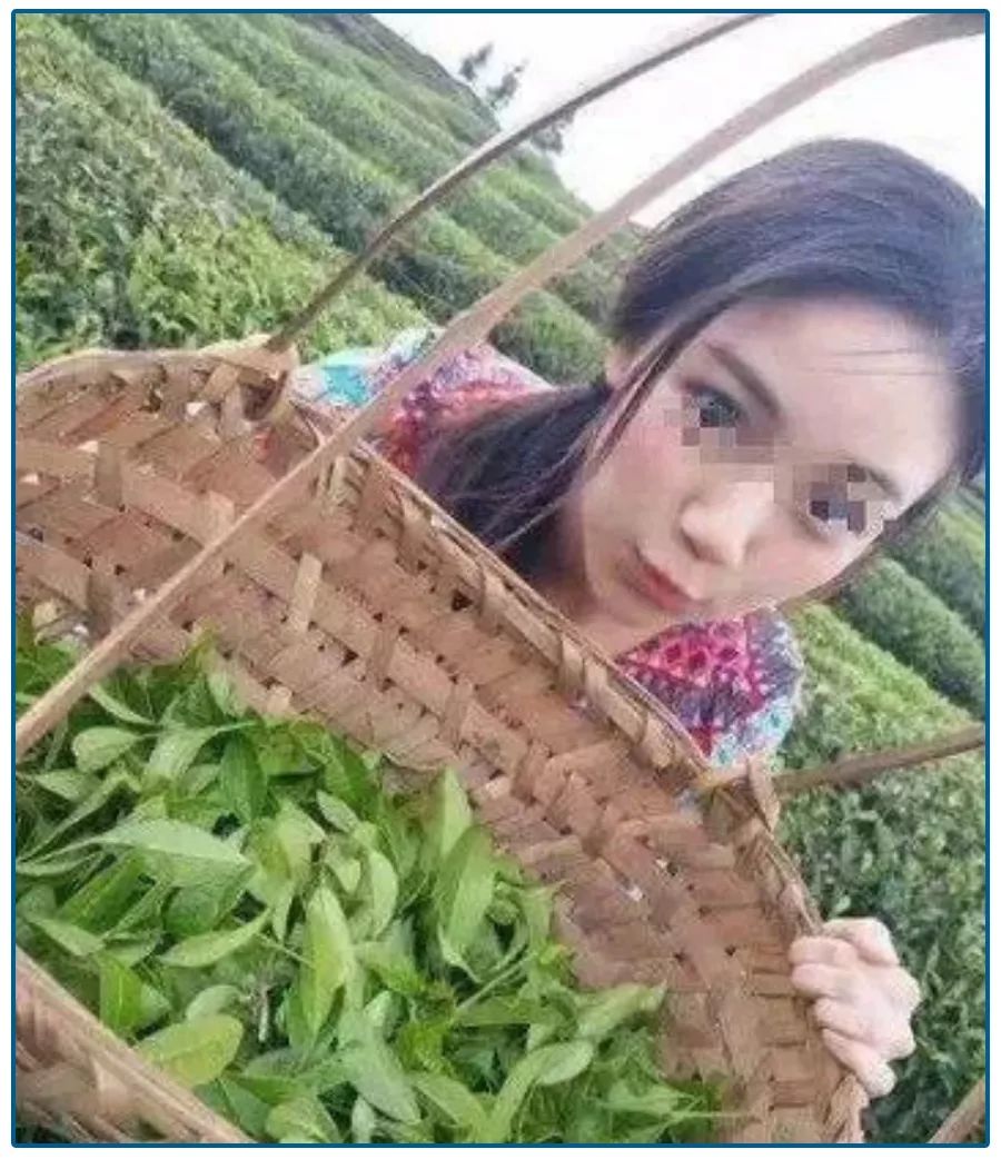 婚恋网站高级骗术,婚恋网站的骗子