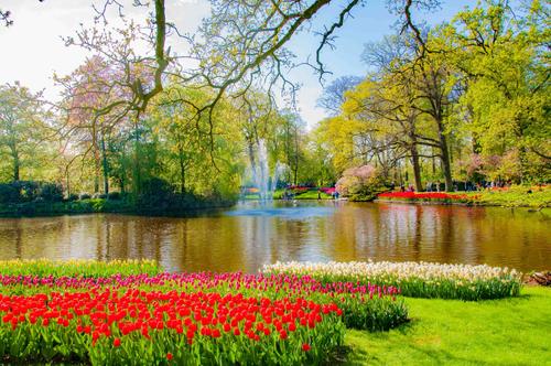 你不知道的国家冷知识荷兰,国家冷知识介绍荷兰