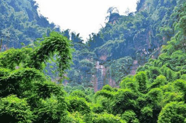 四川避暑康养最佳地是哪里,四川冷门避暑胜地亲子游2-3天