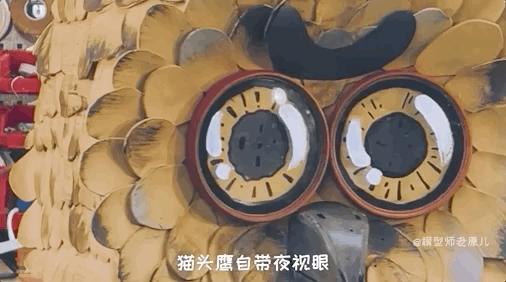 猫头鹰怎么摸眼睛,猫头鹰怎样抓蛇的视频