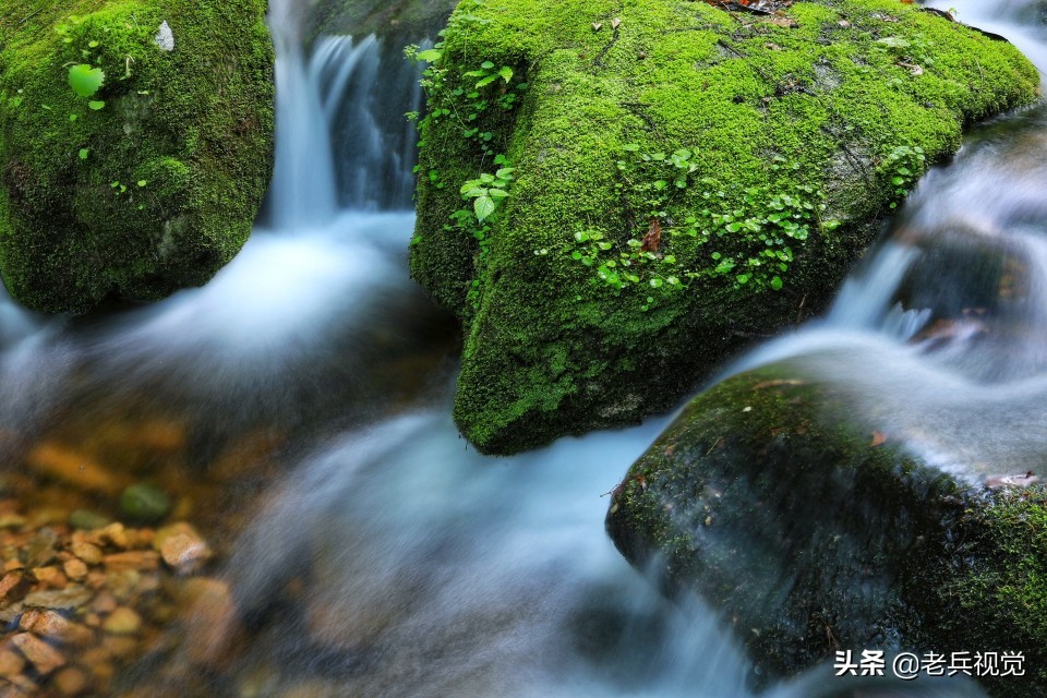 有一种旅行,叫去桓仁看绿