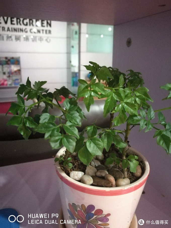 华为p9有多强,华为p9当年有多强