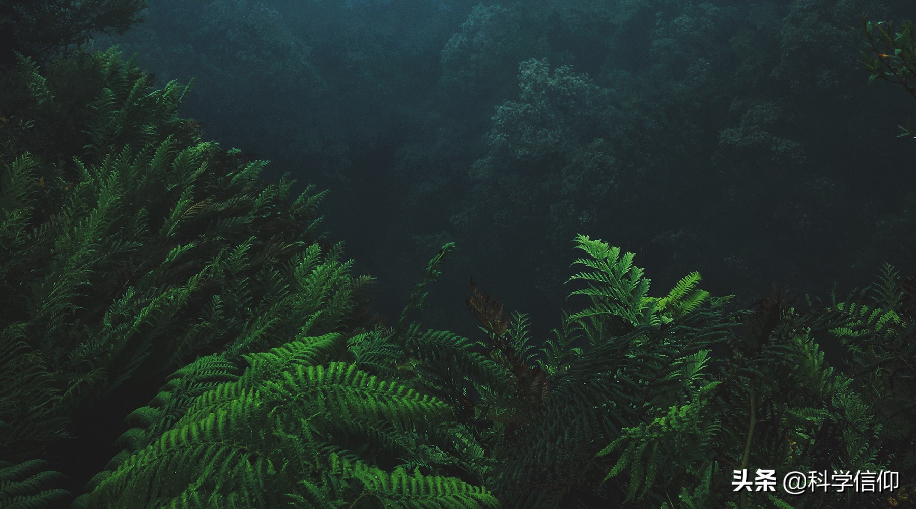 恐龙是怎么灭绝的不妨来看看,恐龙已经灭绝了恐龙形象怎么来的