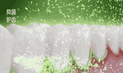 限时疯抢全国包邮,限时抢购全部68折优惠