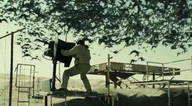 如果动物统治了地球人类会怎么样,人类消失什么动物会统治地球