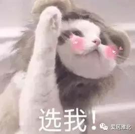 把客厅装修成餐厅,把客厅装修成卧室