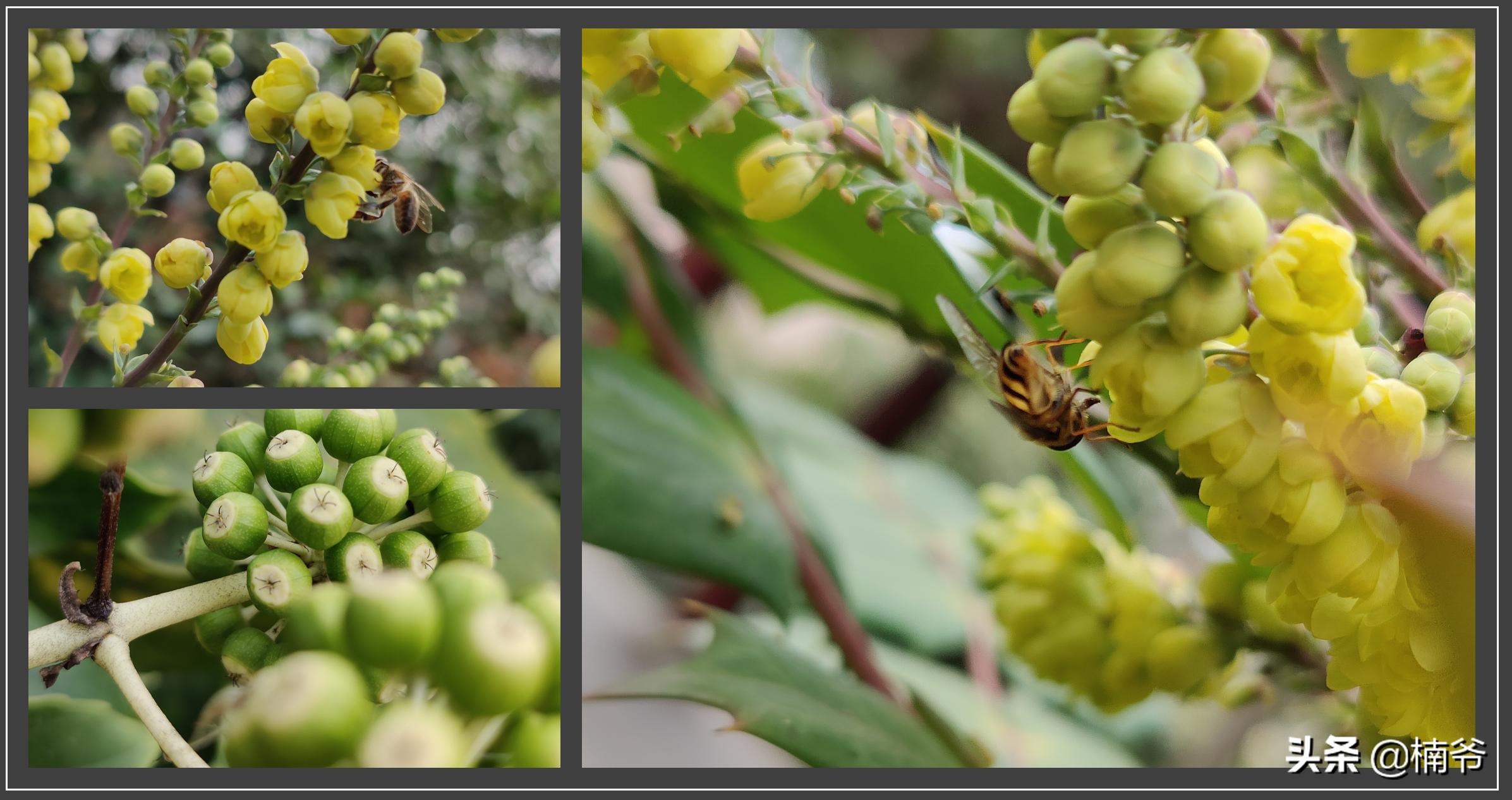 oppofindx2pro在22年还值得买吗,oppofindx2pro限量版