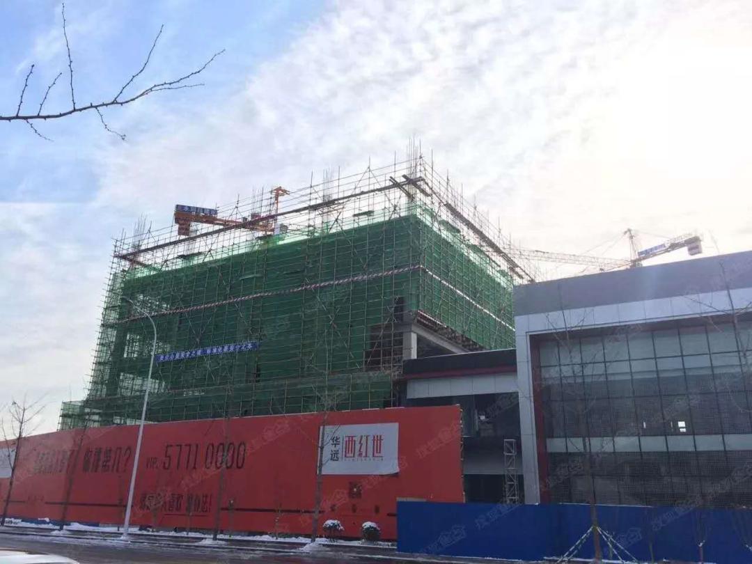 挣不到钱不敢回去,年薪几十万都不敢回家