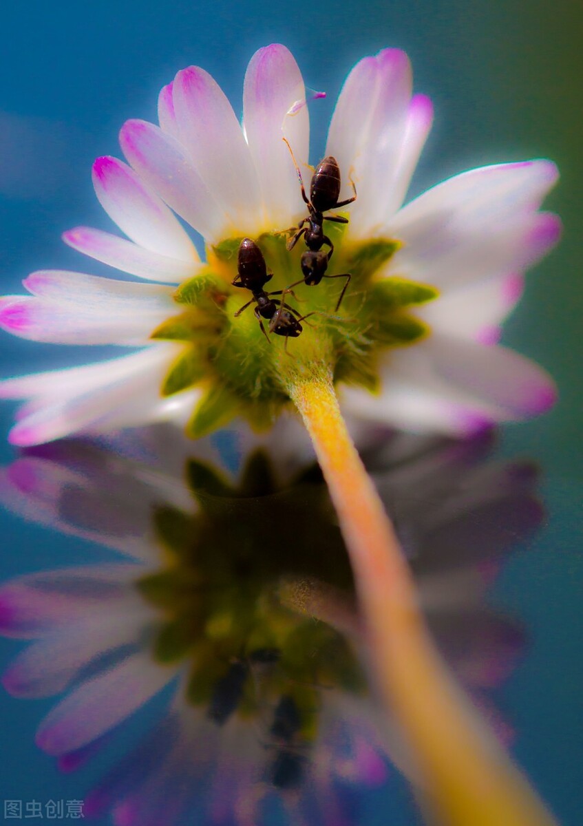 朋友圈发宝藏的说说句子,精致入心的朋友圈句子