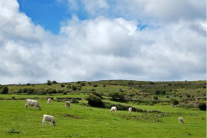 哲学*会:社**期货交易怀疑自己的时候,看看这条法则吧
