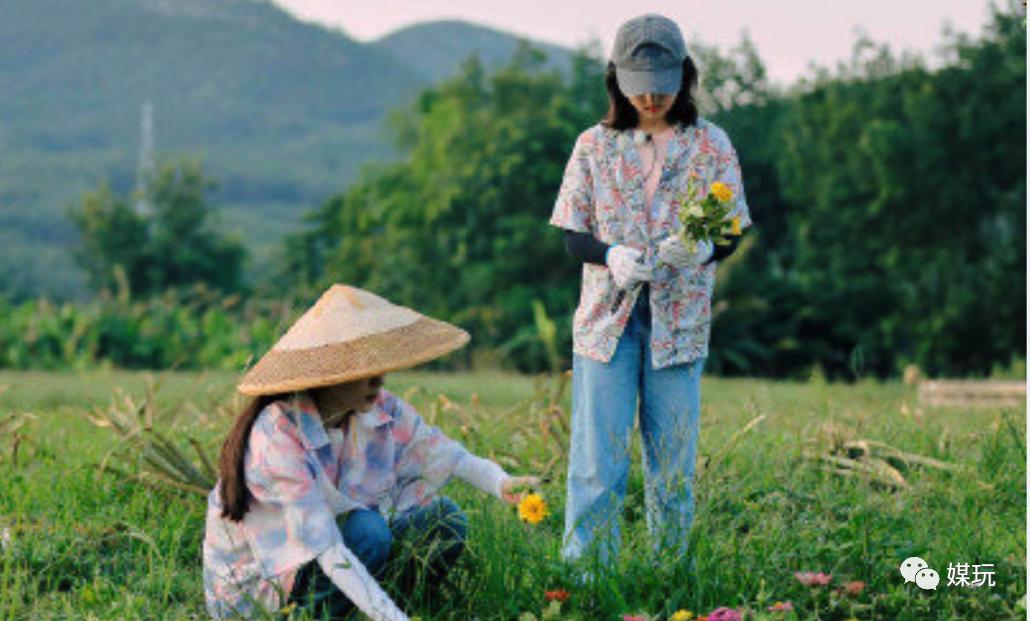 向往的生活4为什么被批评,向往的生活4定档