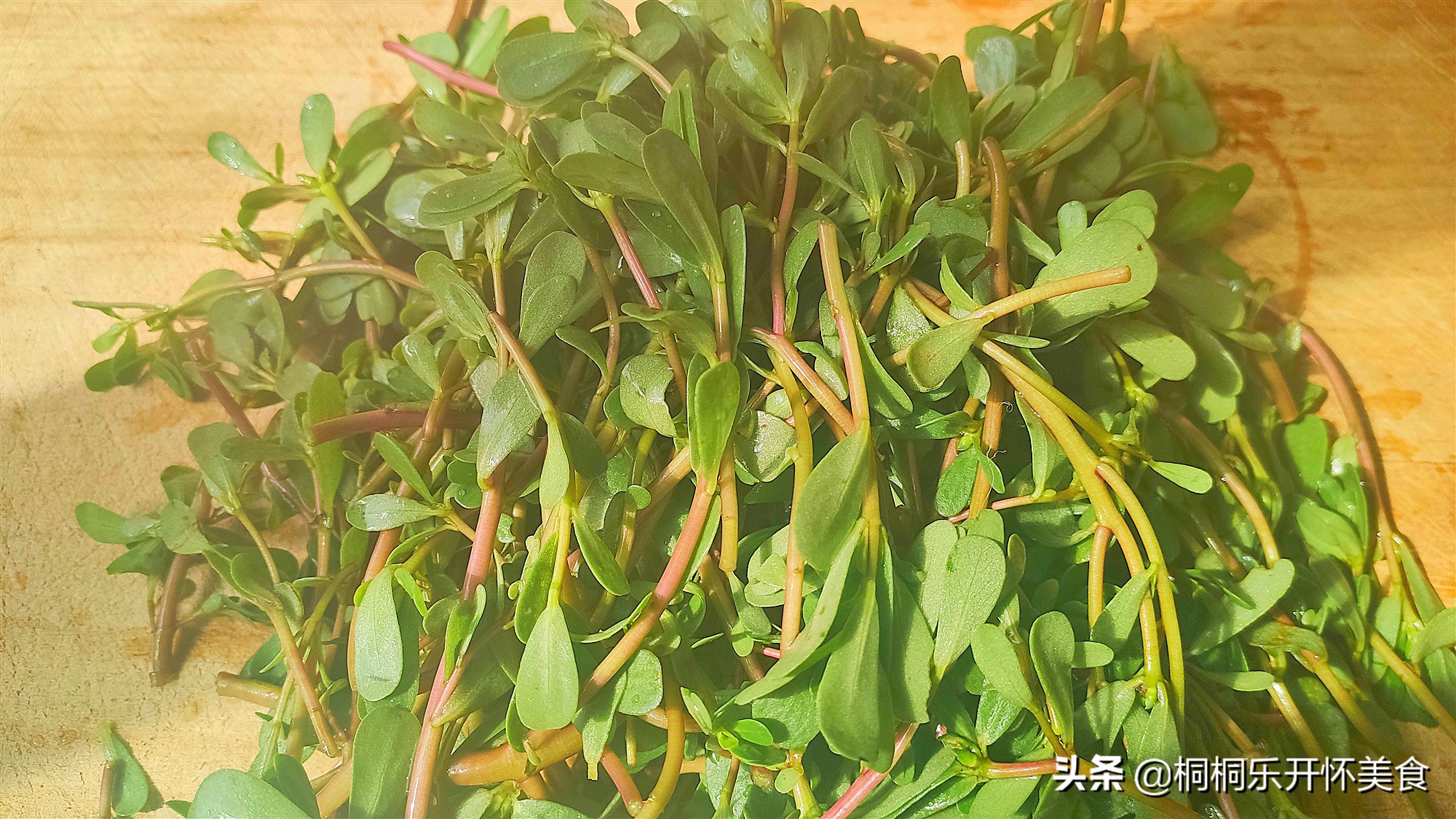 野菜马齿苋食用效果,马齿苋加一物泡水喝对肠胃好
