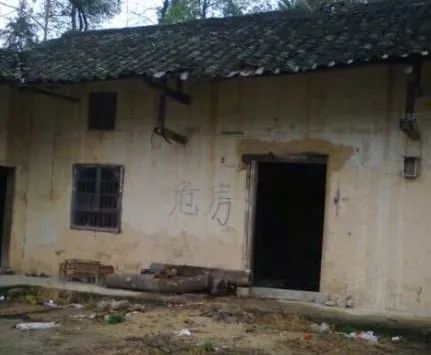 被穷养过的女孩,被穷养长大的姑娘