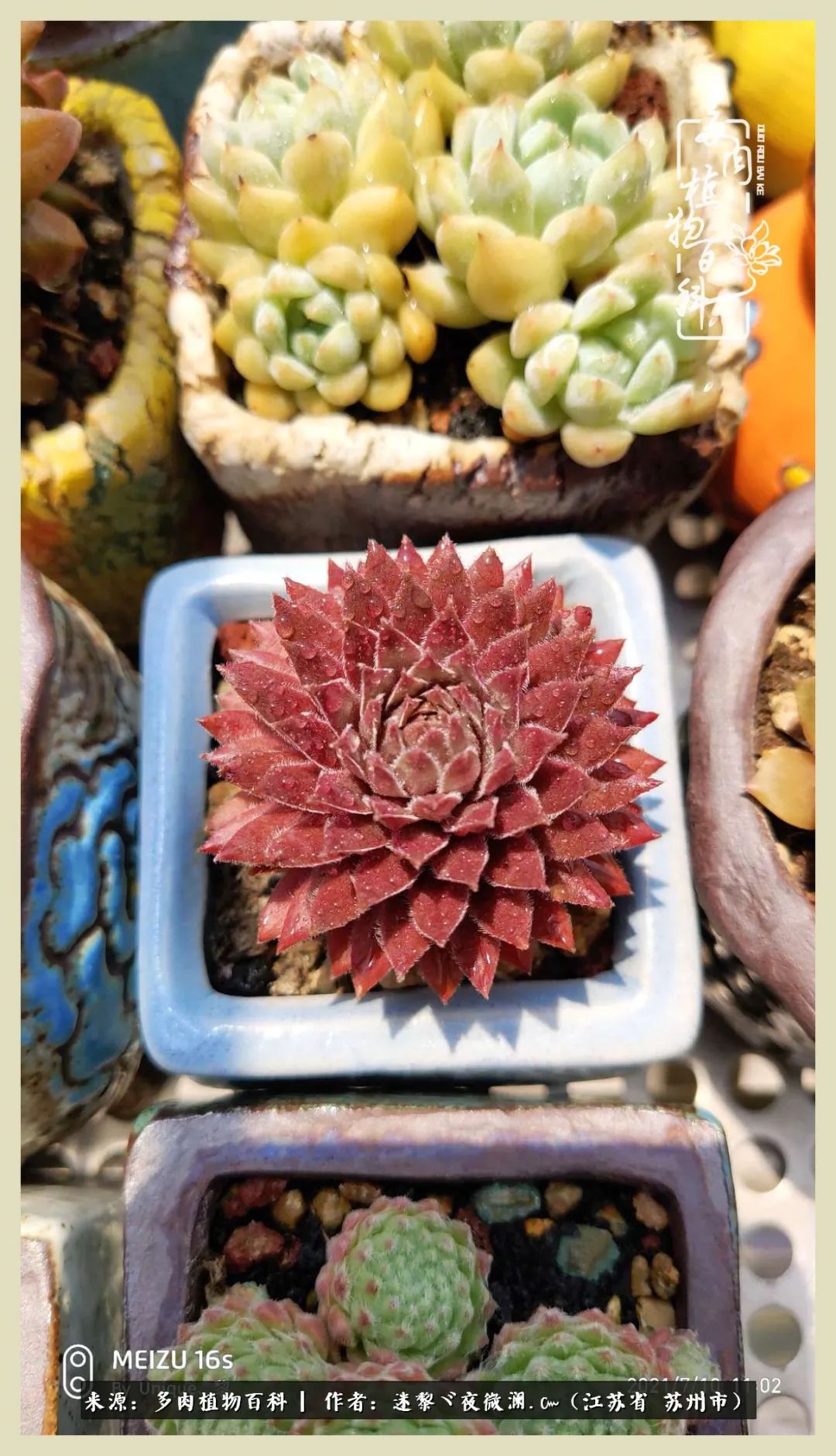 秋尽冬来岁月不居时节如流,岁月不居时节如流水