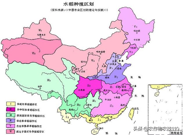 杂交稻直播的种植方法,杂交稻留种可以培育出常规种吗