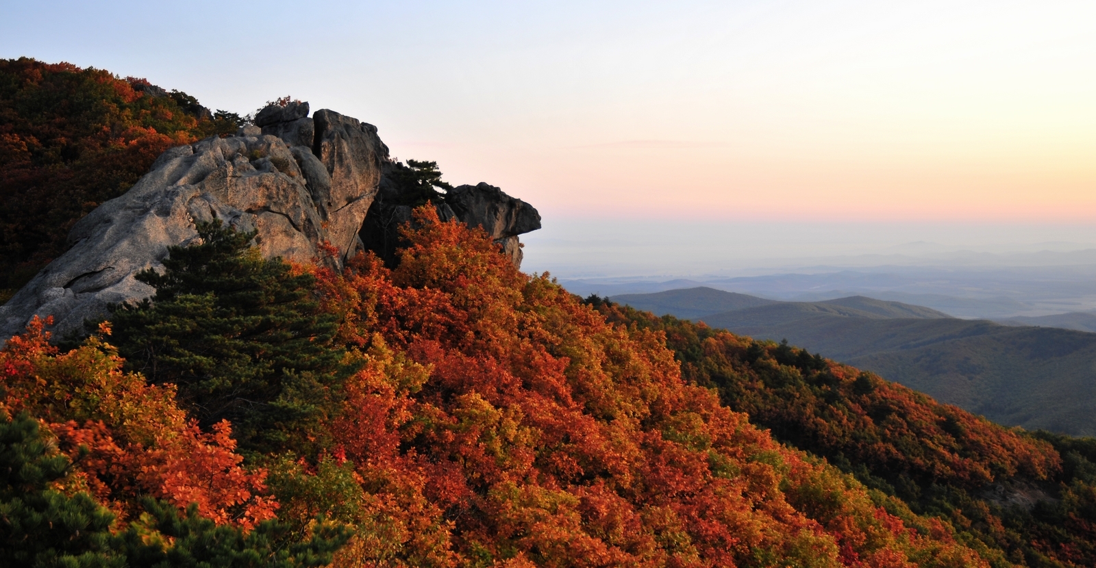梁恩明精品散文：夏之北