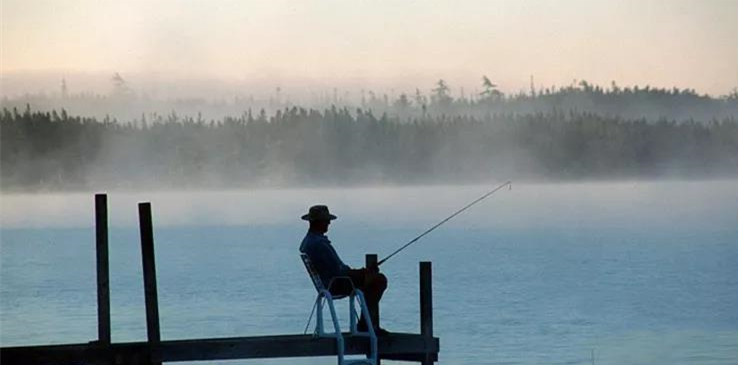 教你路亚钓黑鱼全过程,路亚钓夜晚钓黑鱼视频