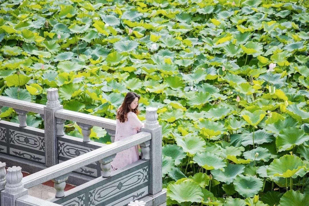 深圳游玩好去处攻略,深圳7个自驾游免费好去处推荐