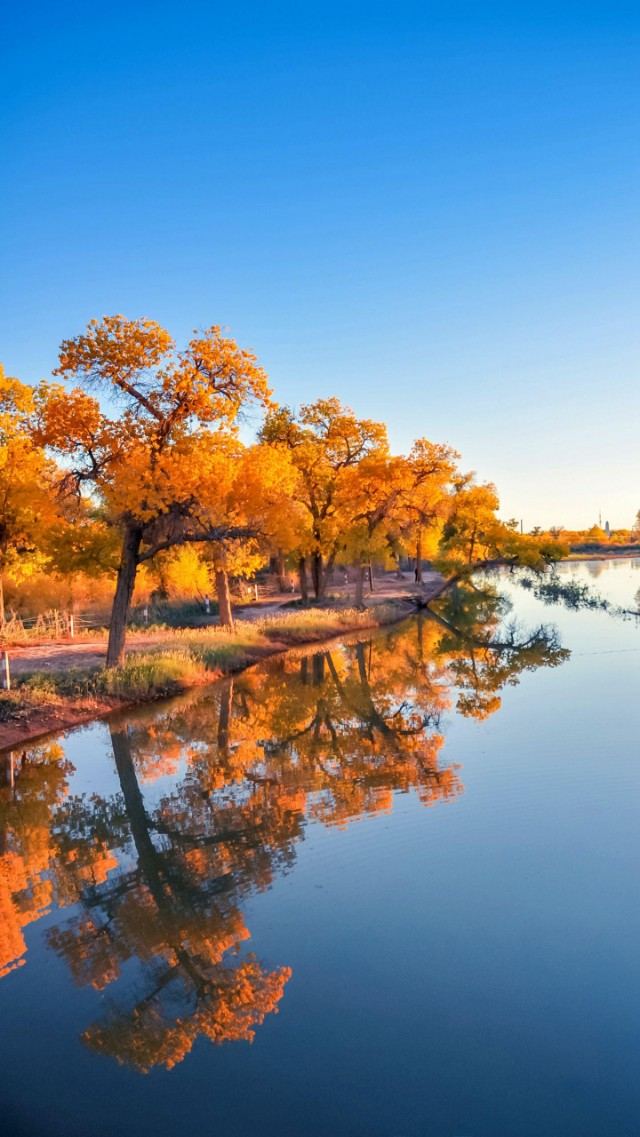 从磁带到cd到mp3周杰伦,从录音带到光盘到u盘