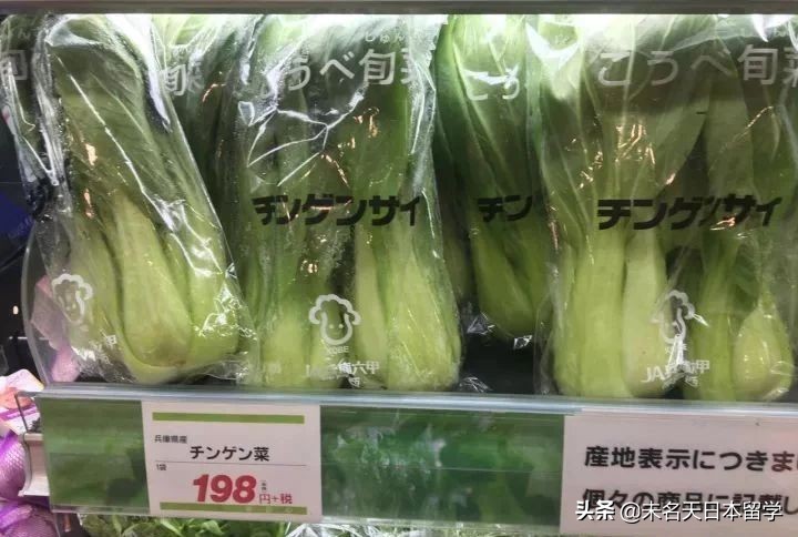 日本人常吃的便当到底是什么东东?