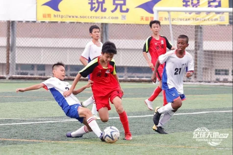 体育社会组织管理,体育社会组织