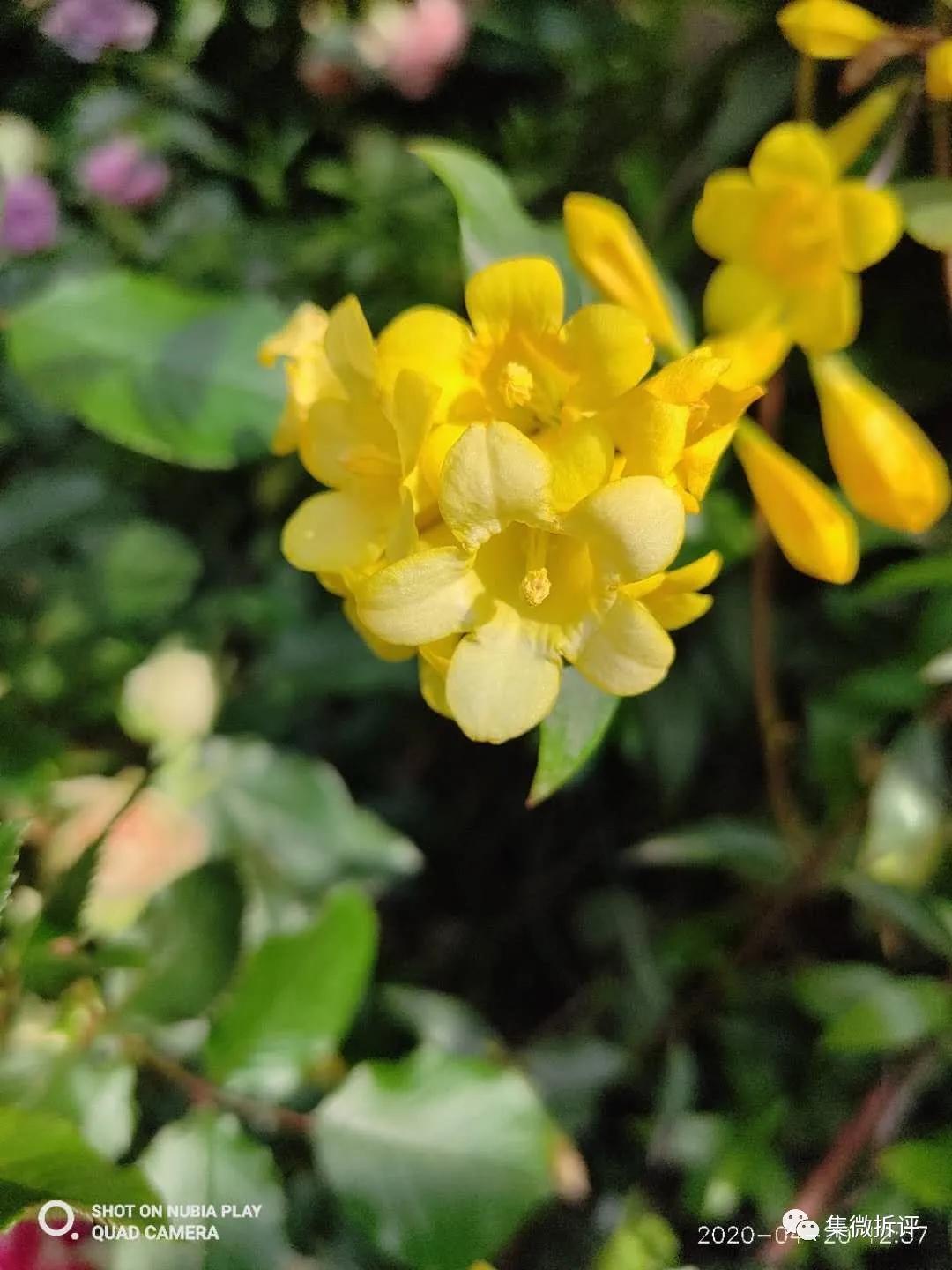 努比亚play和红米note10pro哪个好,努比亚play详细细节测评