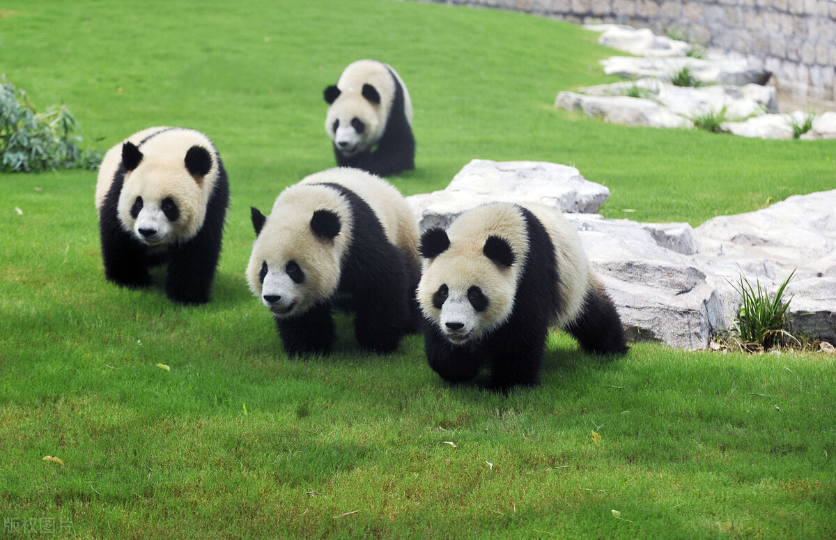 上海十大必游景点是哪些,上海有什么好玩的地方景点推荐