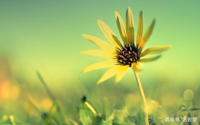 为什么《读者》仍然是最好的杂志?40年沉淀的不止是情怀