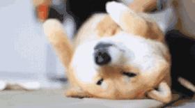 免费app是怎么盈利的,免费视频网站靠什么盈利