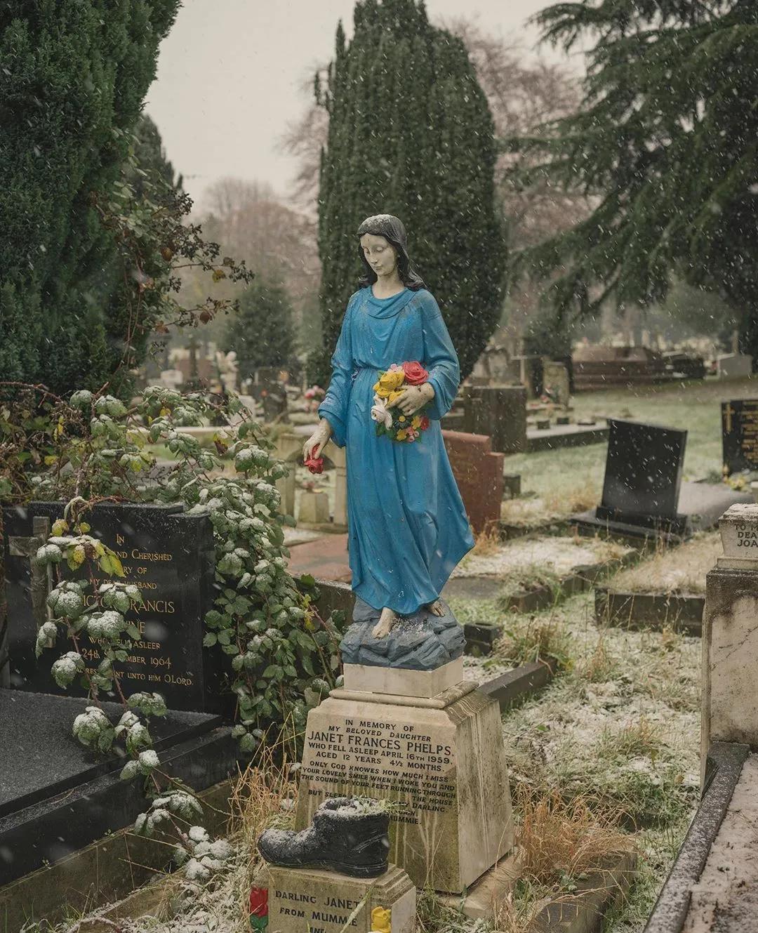 从墓地公园归来,我变罗曼蒂克了